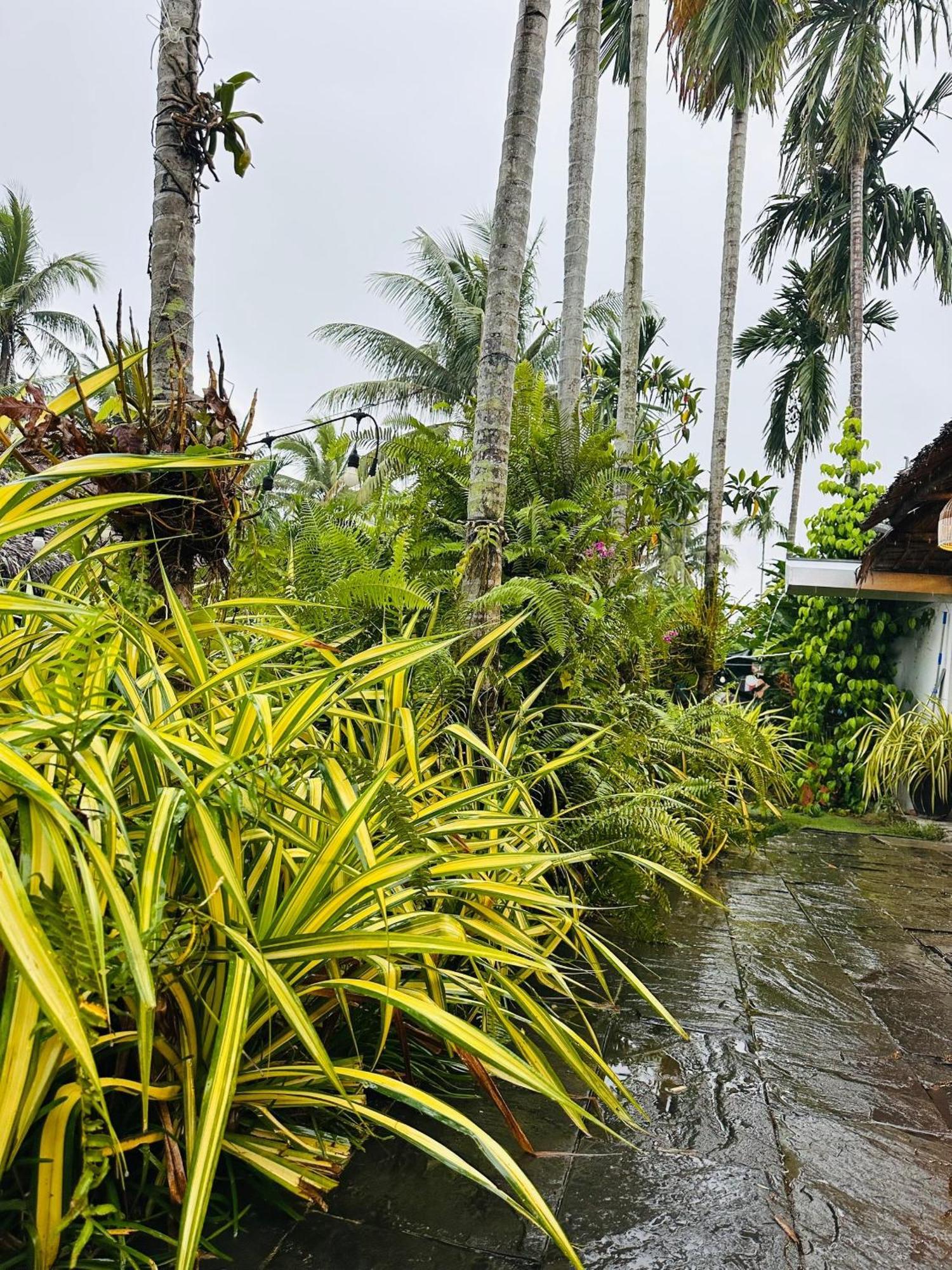 Water Palm Residence Hieu Nhon Exterior photo